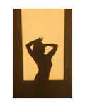 Programme Silhouette